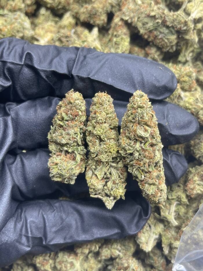 sour tangie